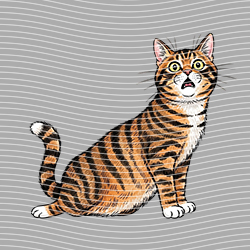 Animal Text Series-AT 3504